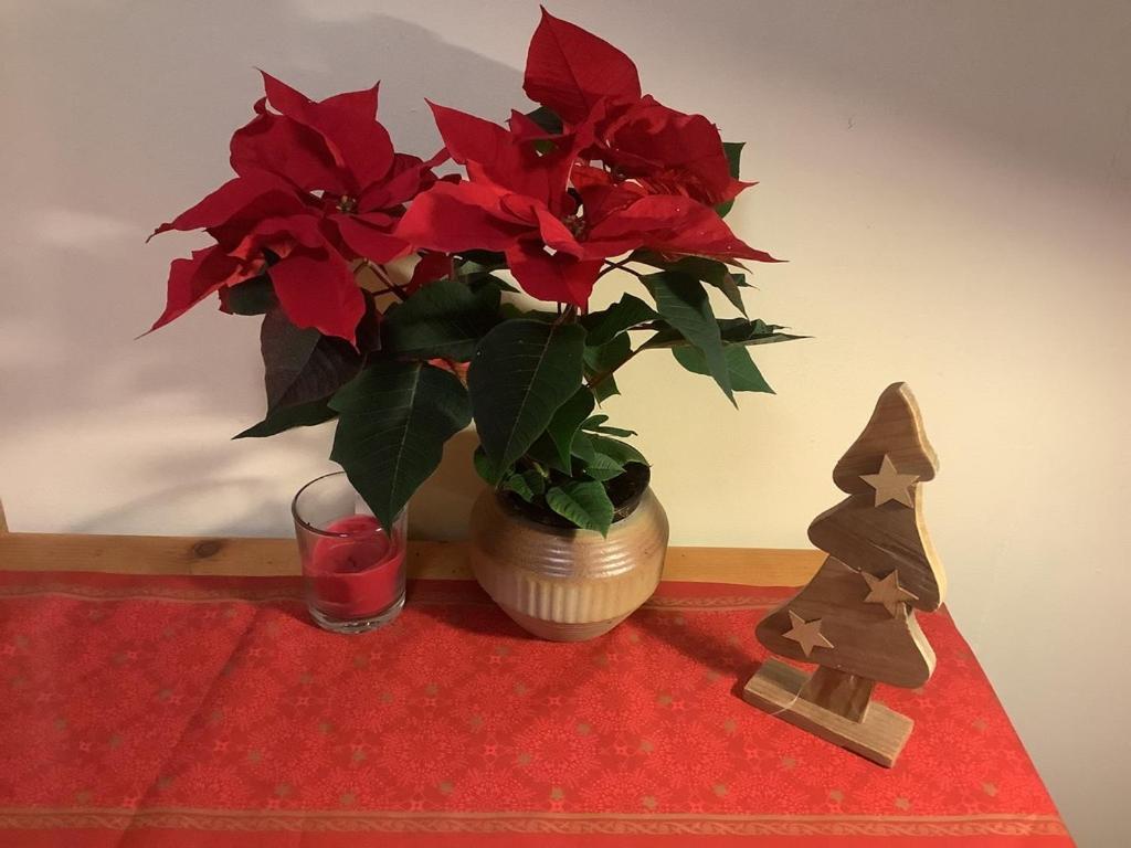 费尔滕Blumenhaus公寓 外观 照片
