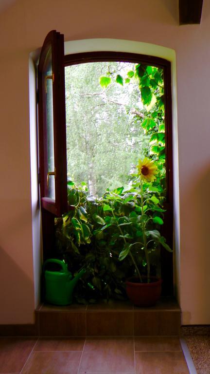 费尔滕Blumenhaus公寓 外观 照片